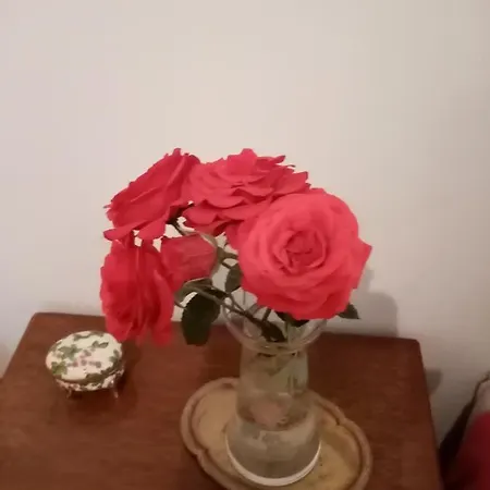 Welcome Ferienhaus *