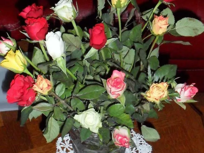 Welcome Hébergement de vacances *