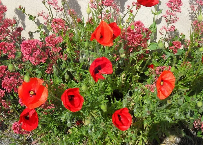 Welcome Hébergement de vacances